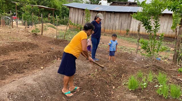 GUATEMALA_HUERTOS TRASPATIO3.jpg